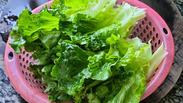 爱吃生菜试试这样做，做法简单味道浓，很好吃的一道家常菜