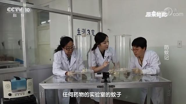 交配后才吸血？蚊子如何在短暂的一生中，让我们对其深恶痛绝？