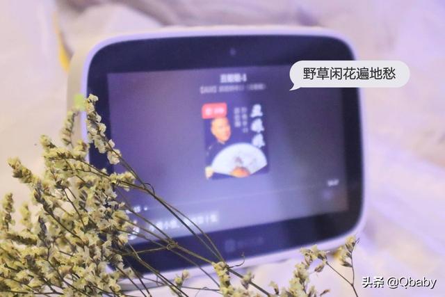 5G时代来了，智能音箱该怎么选？深扒我家那些音箱帮你做选择