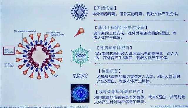 复星医药：剑指全球新冠疫苗市场