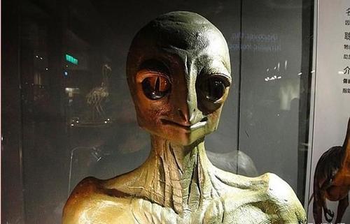 莱瑟塔档案到底是不是真的？