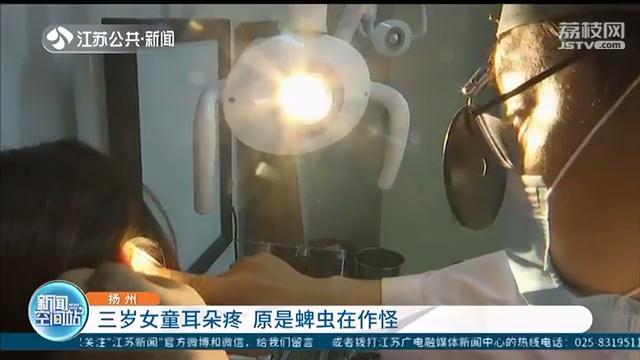 三岁女童耳朵疼 医生从耳道取出一只活蜱虫，还已经产卵