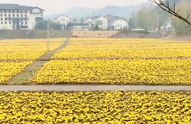 恭喜！湖南9地入选中国美丽休闲乡村名单，有你家就偷着乐吧