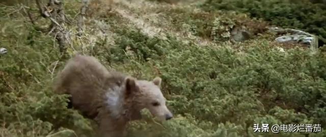 ����9.1�֣���ʵ�¼��ı࣬�ⲿ���ص�Ӱ���ҿ�һ�ο�һ��