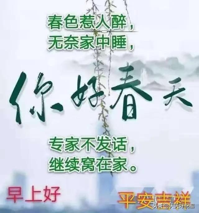 早晨|2020仲夏早晨好问候优美图片句子 很暖心的早安祝福表情