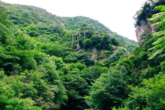 盛夏避暑，龙津溪地山水之间寻清凉！