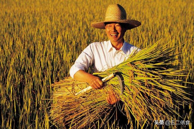 农村电商到底怎么做？4个现实问题告诉你，让农民避开雷区！