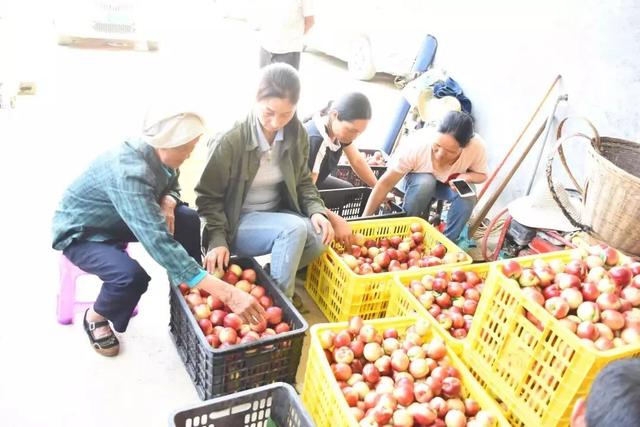 农村电商应该大力发展跨境业务；传统生鲜产业