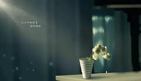 看完《漫步华尔街》，我彻底打消了全职投资的