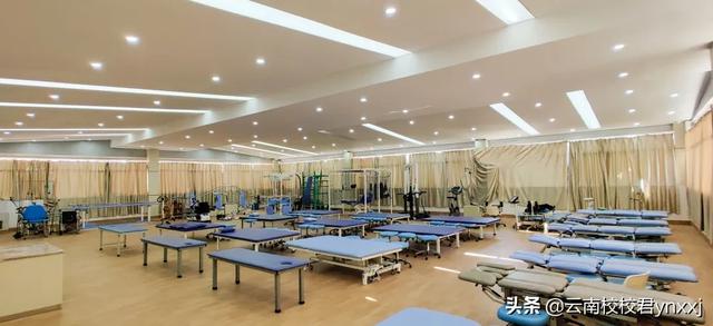 云南医药健康职业学院的康复医学系都有哪些专业？