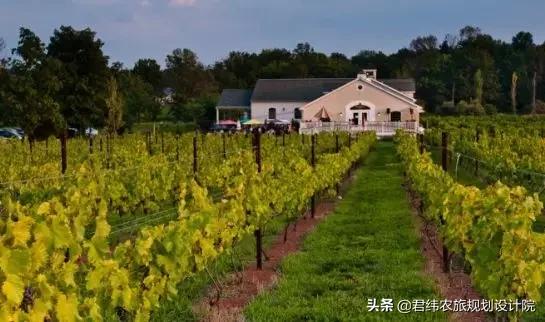 “三个模式”叫响全国，山东这些经验是如何成功的？