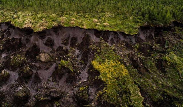 万年|西伯利亚正经历八万年一遇高温 致命病毒细菌或被释放