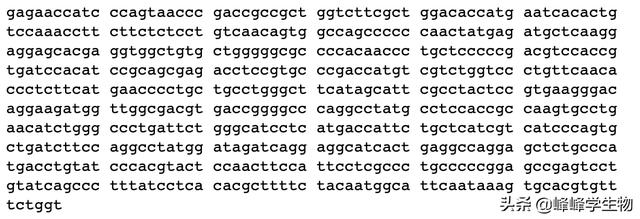 不懂基因是什么？一篇文章帶你看懂基因的前世今生