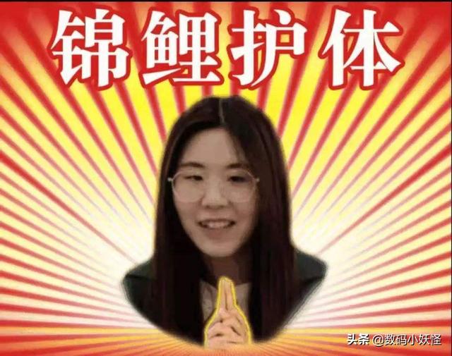 还记得支付宝的“中国锦鲤”吗？周游世界一年