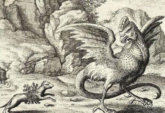 欧洲历史中的怪物鸡蛇：毒性强，用眼神就能杀