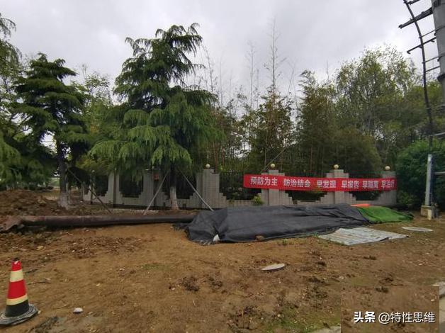 身价超5亿的董事长去偷拍，他在想什么？