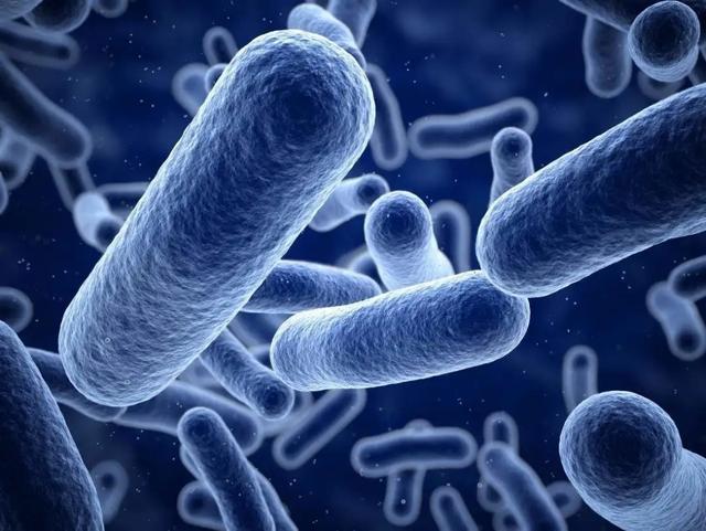 “疫”军突起，病原微生物检测或成生物医药行业的下一个风口？