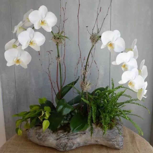 ����������ɽ