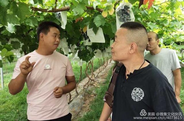 知名葡萄畫家米龍走進合陽紅提之鄉(xiāng)采風行活動啟動（組圖）