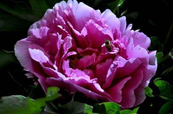 人到中年一事无成，感到茫然无助时，熟读这3句