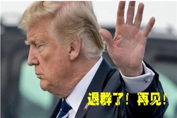 印度遭美抛弃，WTO也难救。外交部再发声！