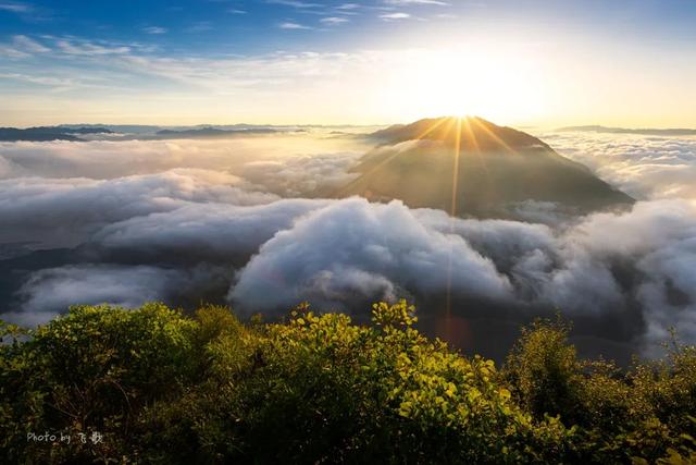 《中餐厅4》开播在即，这条宝藏路线比赵丽颖还有诱惑力