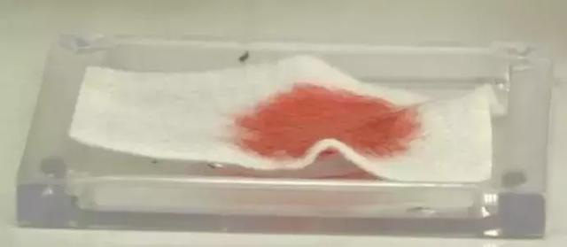 ���δ���²���������ά�˽���٣�