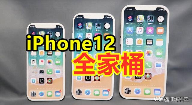 引入国产屏、128G起步！iPhone 12全系配置表曝光：顶配没过万