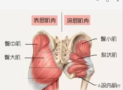 如何填平臀部兩側的凹陷？鍛鍊臀中肌，幫你把臀部練飽滿