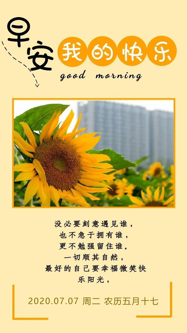 #高考#早安心语，高考加油正能量励志短语，唯美图片带字