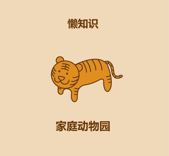 在家里建私人动物园的15种方法