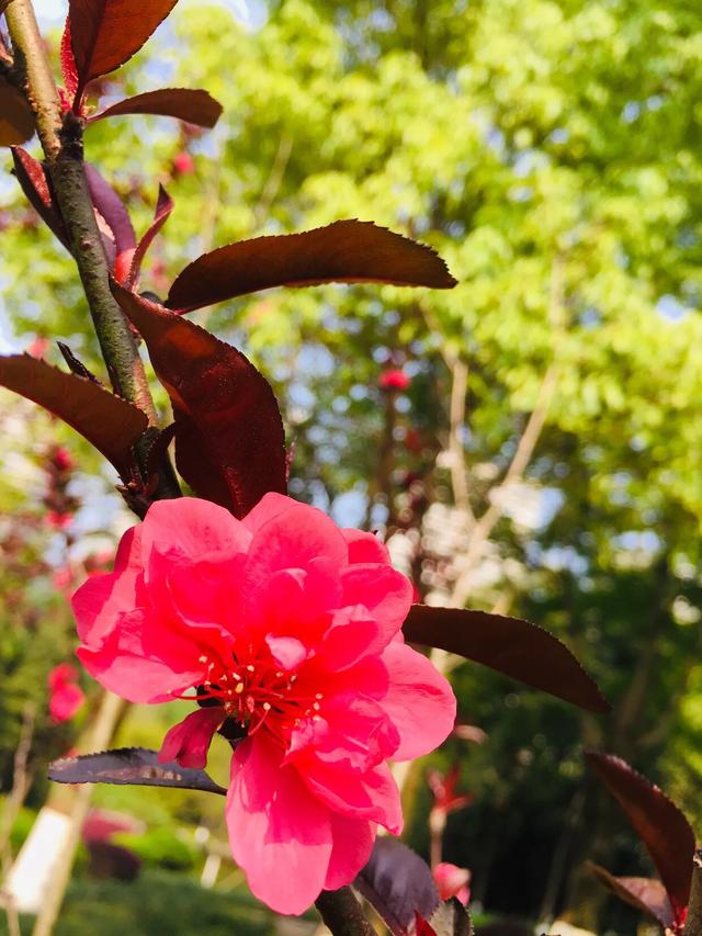 微信潜规则：这4种聊天方式最让人讨厌！