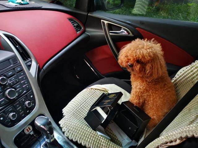 4K视频输出，2020行车记录仪先锋机型：盯盯拍MINI5