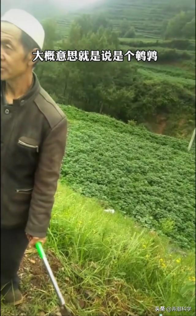 山里■贵州回应山里有龙吟 声音没那么大专家说可能是鸟