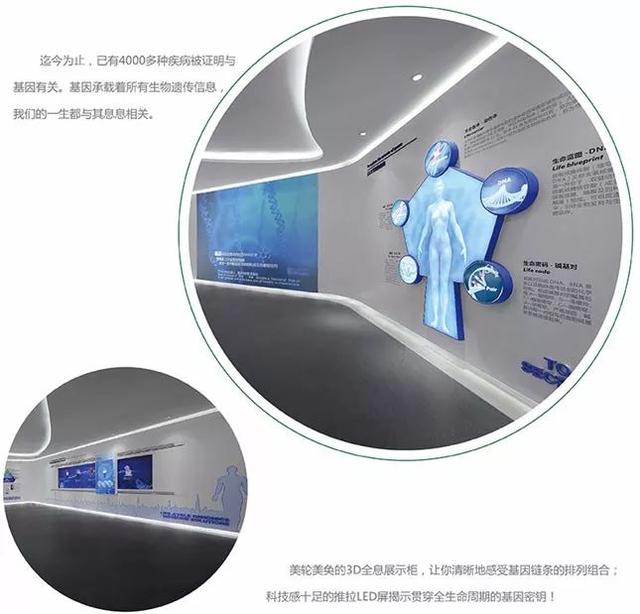 生命展厅设计--亚洲最大生命科学体验馆