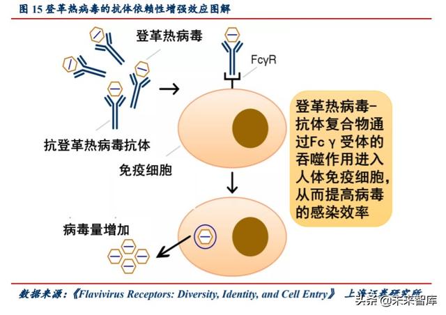 新冠疫苗专题报告：灭活苗进度领跑全球，重组蛋白苗潜力较大