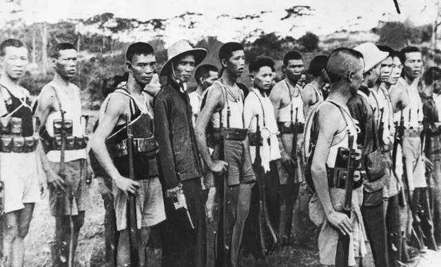 敌后游击队（少见的抗战图集）