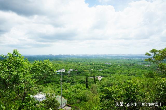 世界上保存最完整的火山群，拥有40多座火山，竟然藏在海南海口