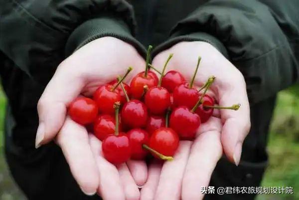 黔北拾味——遵义美食＋民宿体验之旅