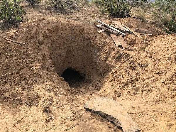 “活埋母亲”79岁老人发声, 两个儿子都很担心