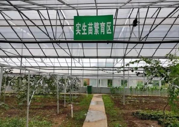 楊凌農(nóng)科，見證小康足跡——2020走出楊凌看示范活動圓滿收官