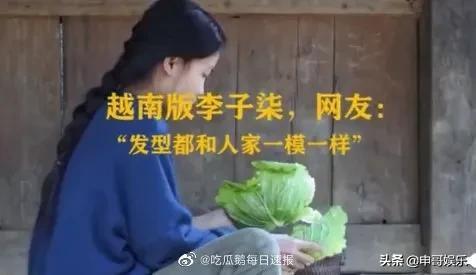 越南博主抄袭李子柒，美拍，抖音和Youtube点击近