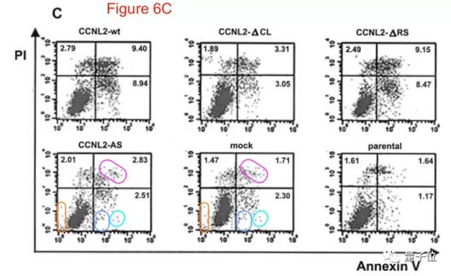 南开校长曹雪涛团队12篇论文被调查