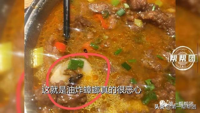 在菜里吃出“油炸蟑螂”，拍视频又惊现活蟑螂