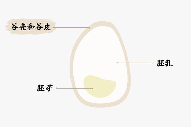 米是个大家族，红的、黄的、黑的、白的、紫的...