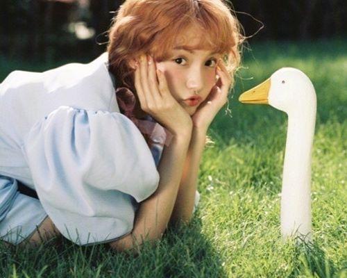 林小宅被“网暴”后发文，暗指一切都是梁继远主导，自己无辜受累