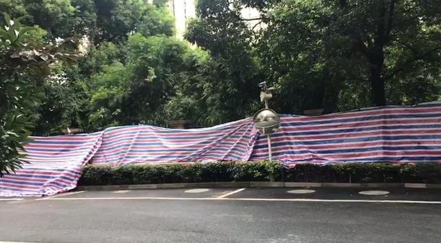 復(fù)盤杭州殺妻案始末：一個(gè)二婚重組家庭“最隱秘的角落”