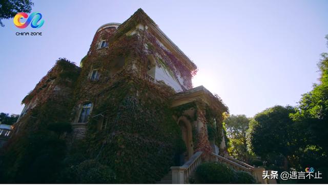 娶不上媳妇的霸总、嫁不出去的白富美，小时代