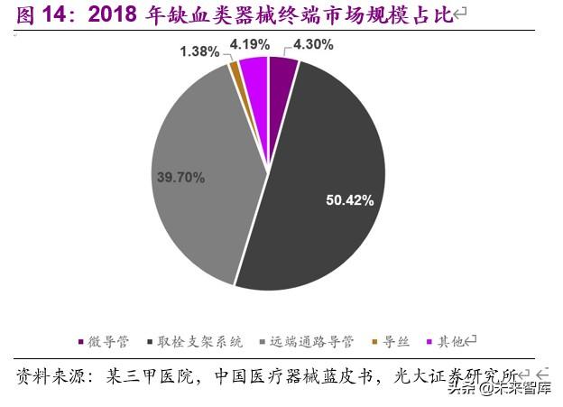 神经介入行业深度报告：介入手术皇冠上的明珠，百亿蓝海即将起航