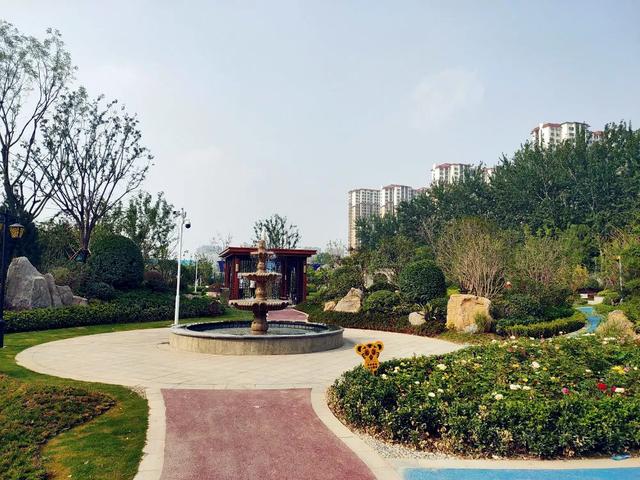 菏澤這里將建體育館、籃球公園！城區又一公園即將開放